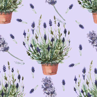 Country Lavender