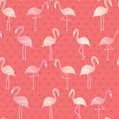 Flamingo fiesta