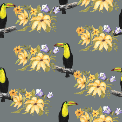 Free Toucan