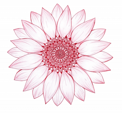 Pink Floral Mandala