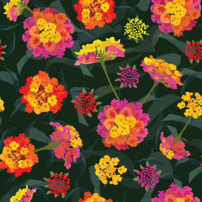 Colorful Lantana florals