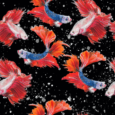 Fancy Fish
