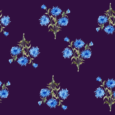 Blue dasies