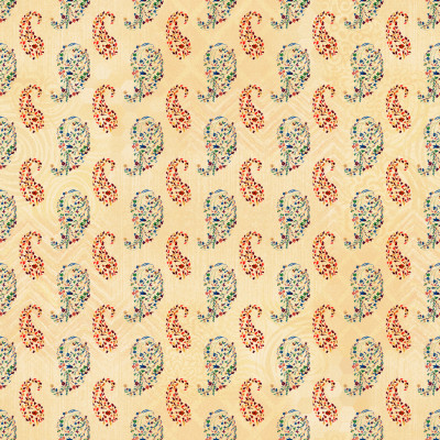paisley reverse pattern