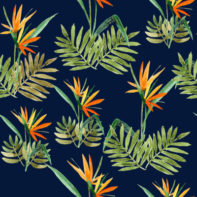 Bird of Paradise